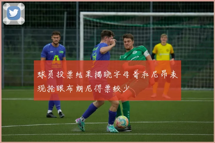 球员投票结果揭晓字母哥和尼昂表现抢眼布朗尼得票较少