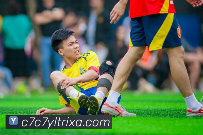 c7c7娱乐平台生态图